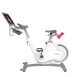 Купить Велотренажер Yesoul BV1-W PLUS в Семилуках 